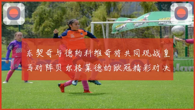 东契奇与德约科维奇将共同观战皇马对阵贝尔格莱德的欧冠精彩对决