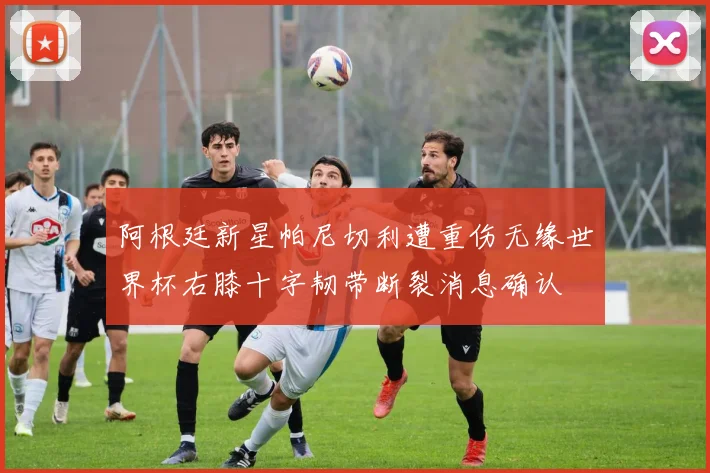 阿根廷新星帕尼切利遭重伤无缘世界杯右膝十字韧带断裂消息确认