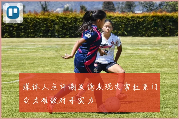 媒体人点评谢泼德表现失常杜京门合力难敌对手实力
